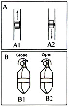 Cervical Traction, Neck Traction, 